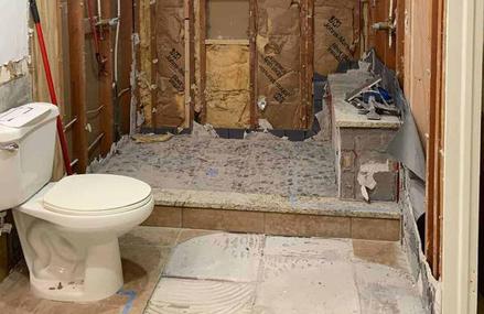 Bathroom Demolition 